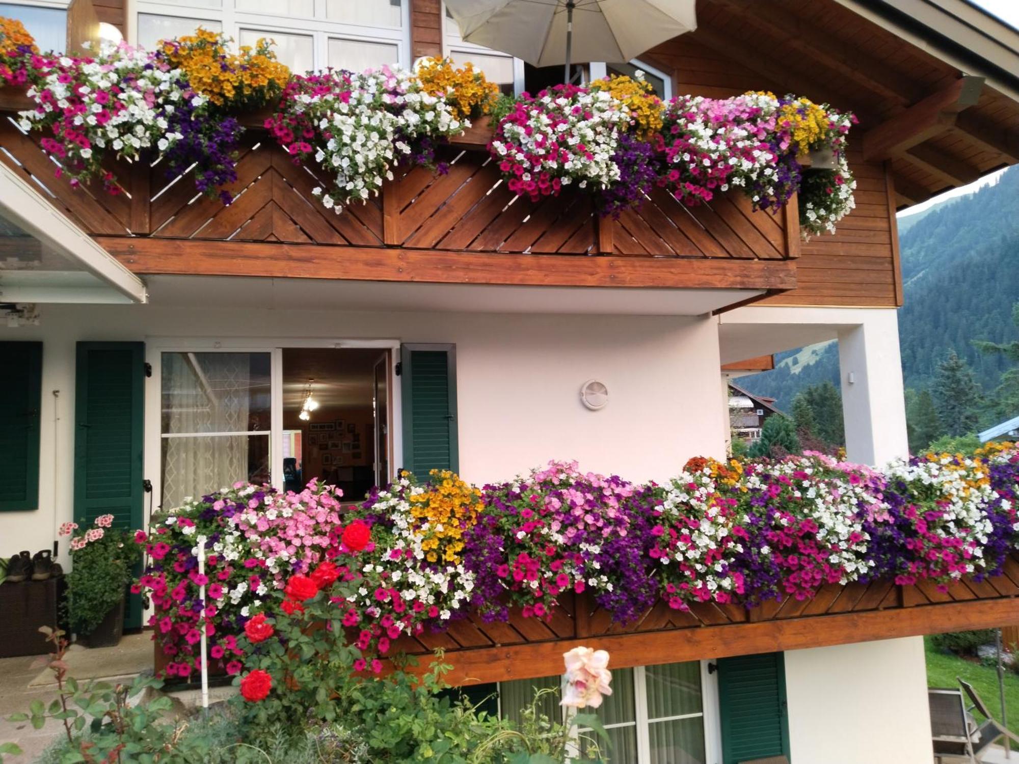 Büchele Casa rural